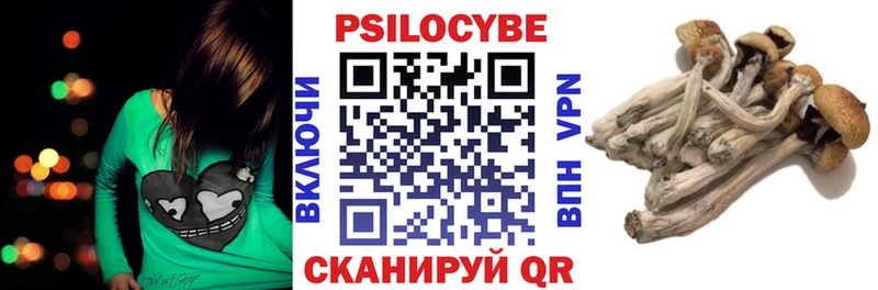 MEGA вход Химки Галлюциногенные грибы Psilocybine cubensis
