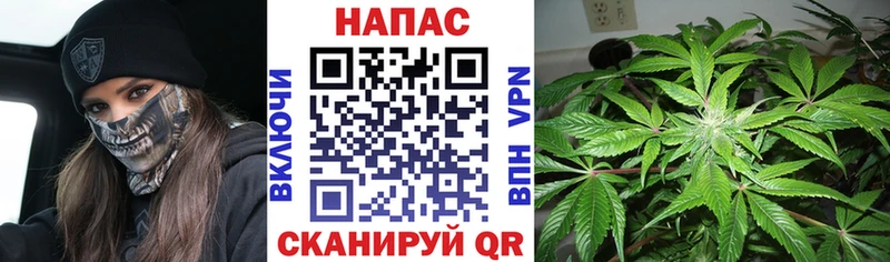 дарк нет формула  Химки  Конопля White Widow 